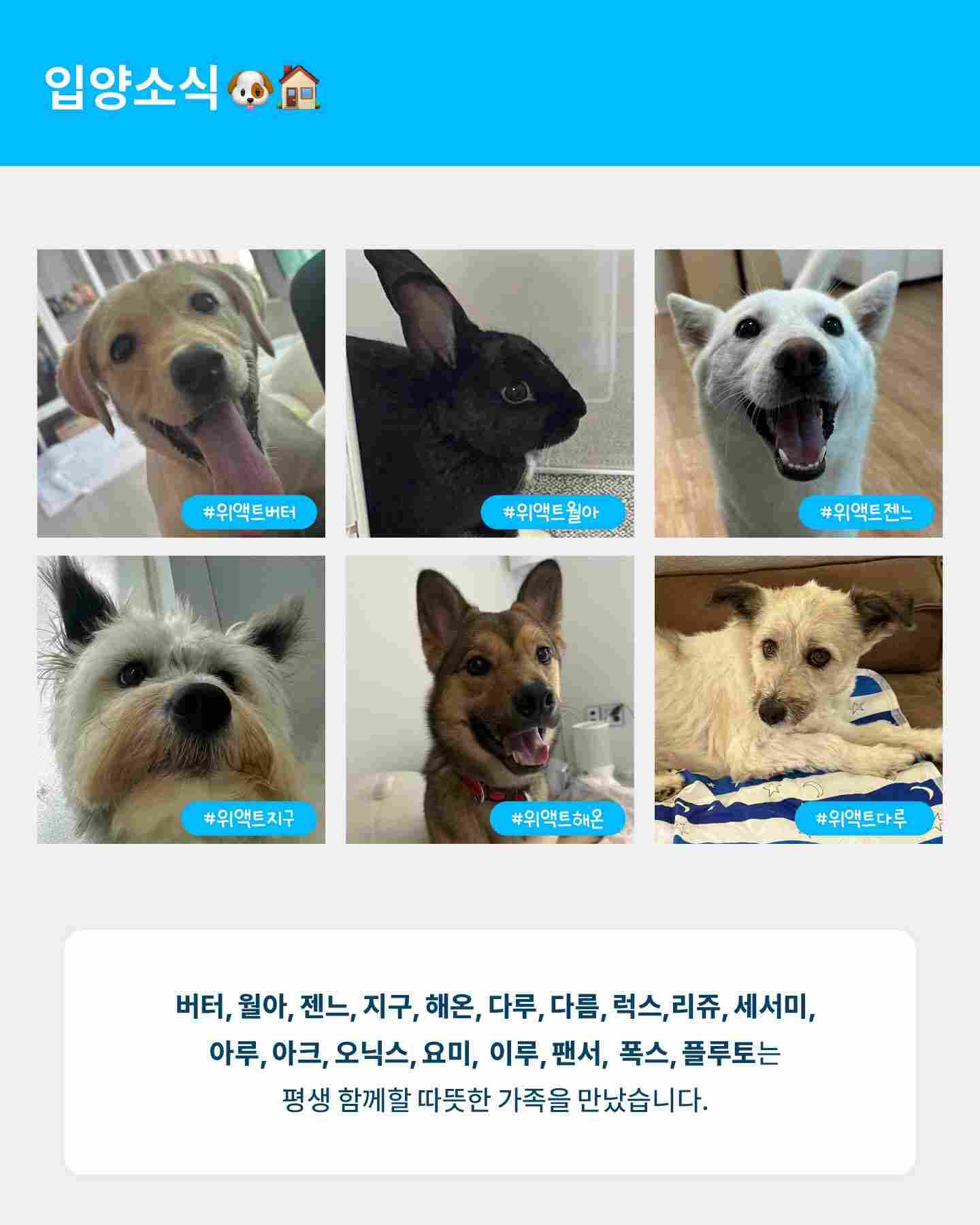상세 사진 2