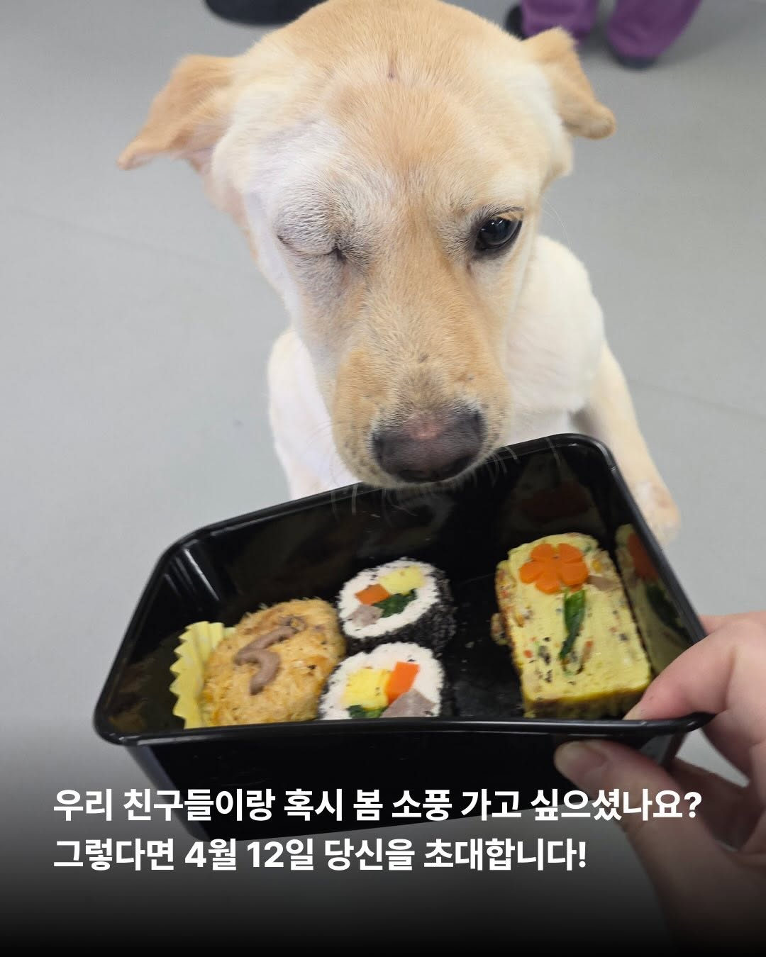 상세 사진 6