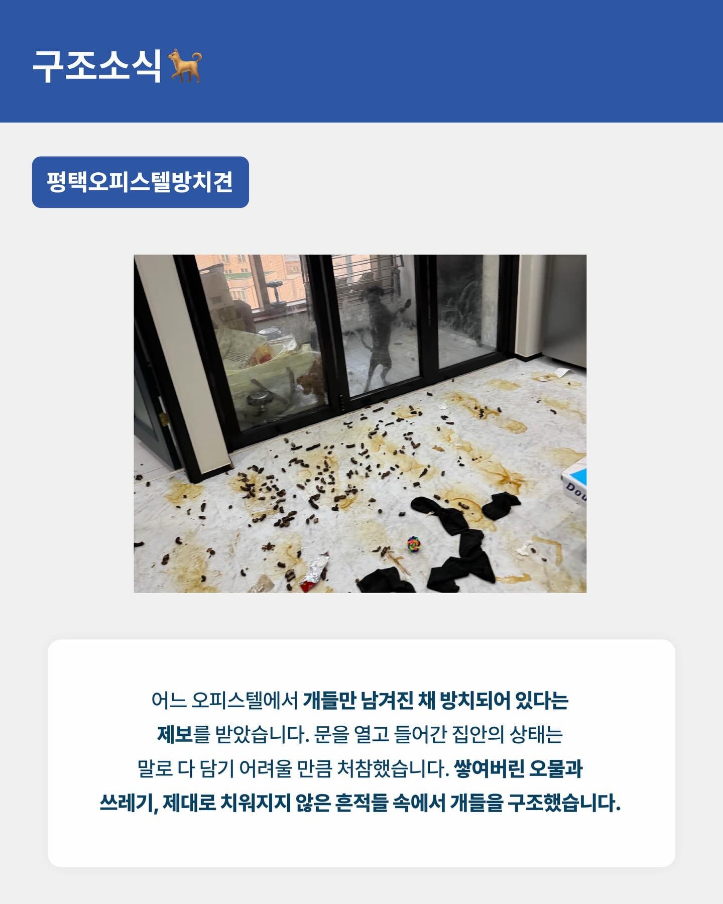 상세 사진 7