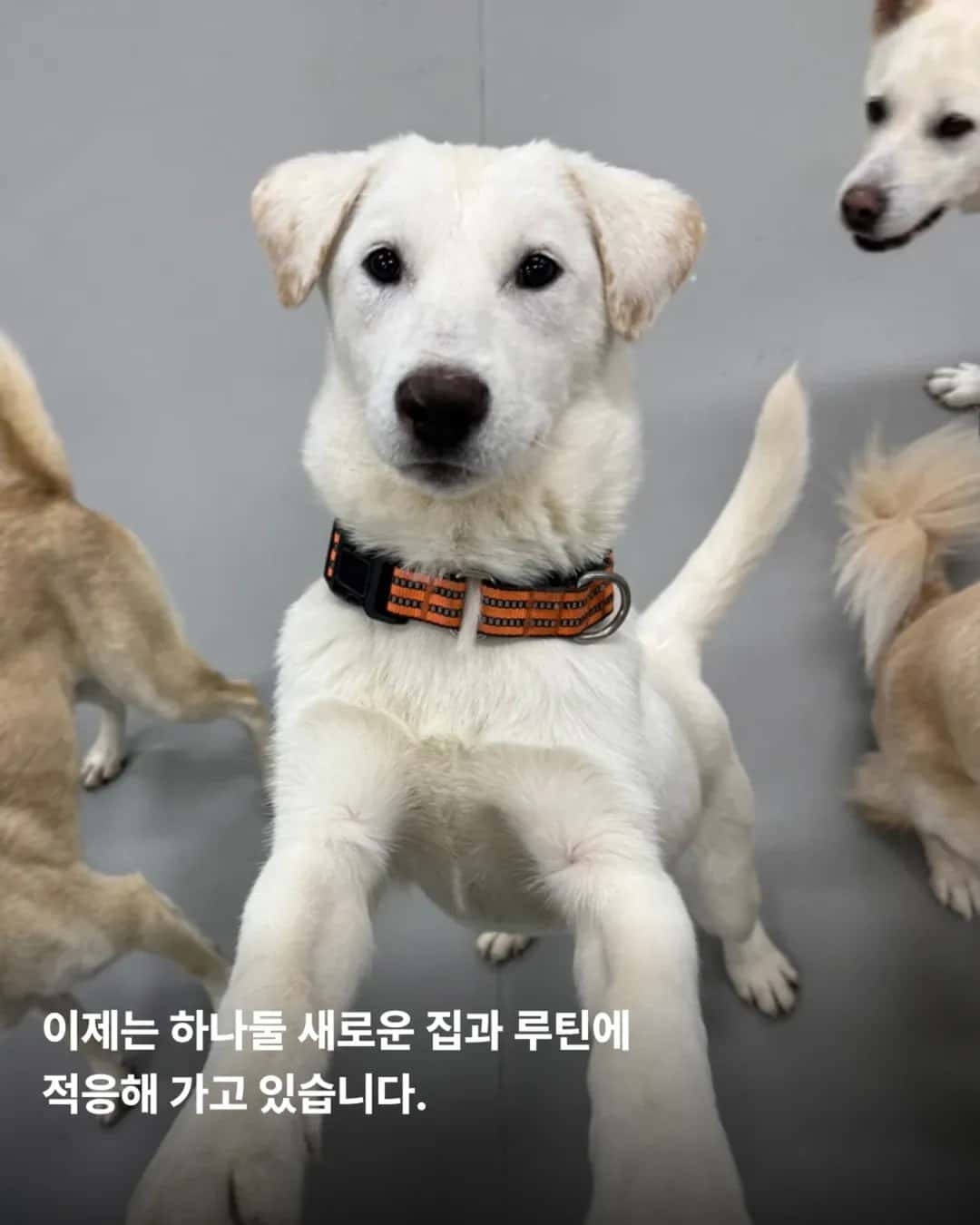 상세 사진 15