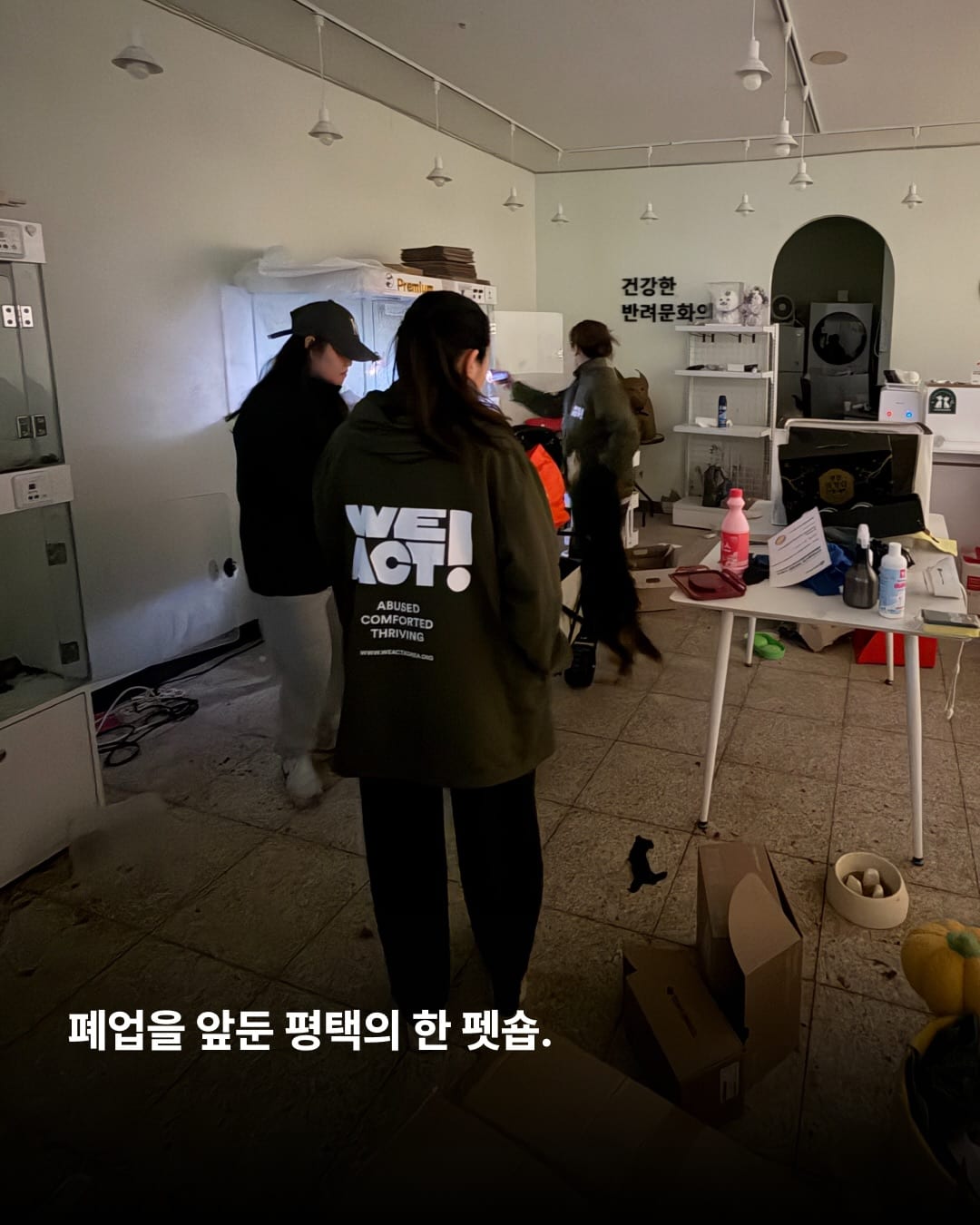 상세 사진 2