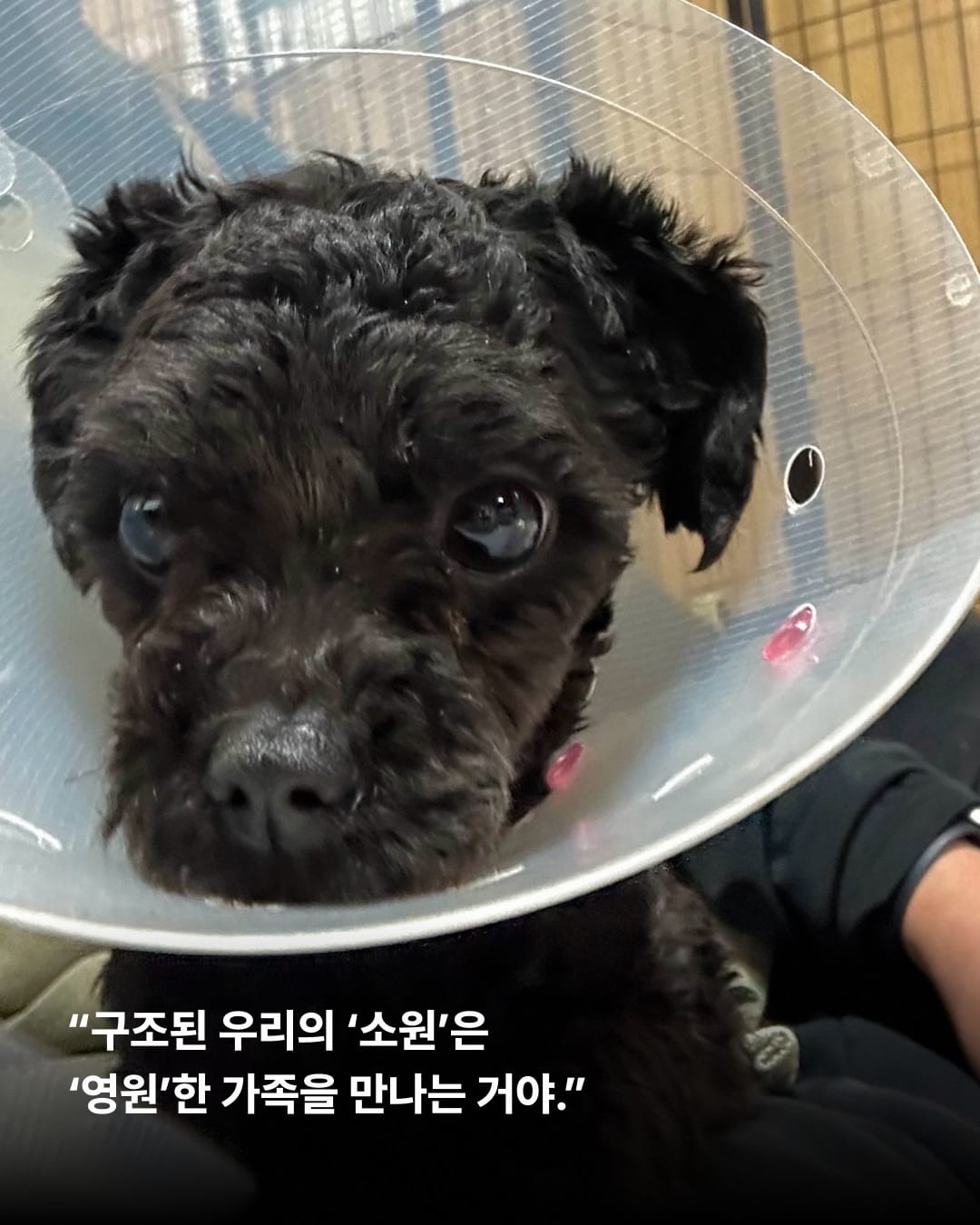 상세 사진 9