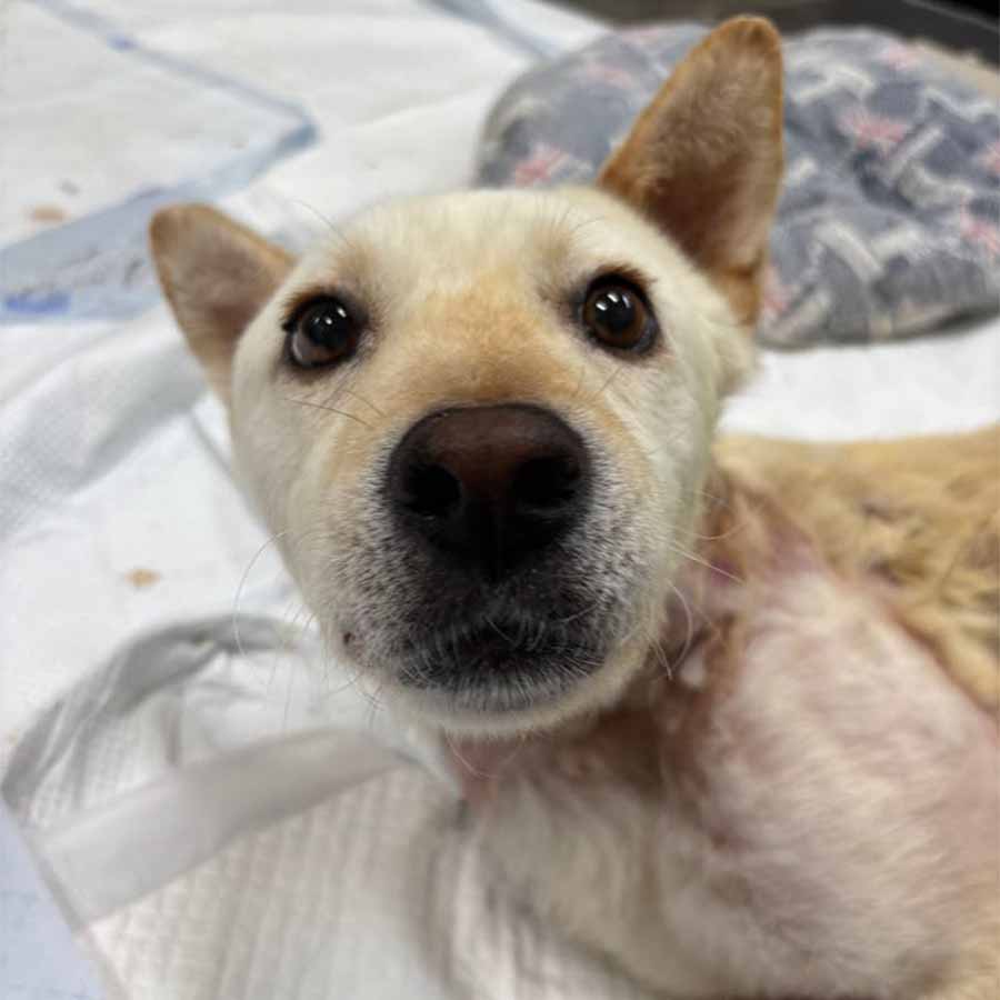 상세 사진 6