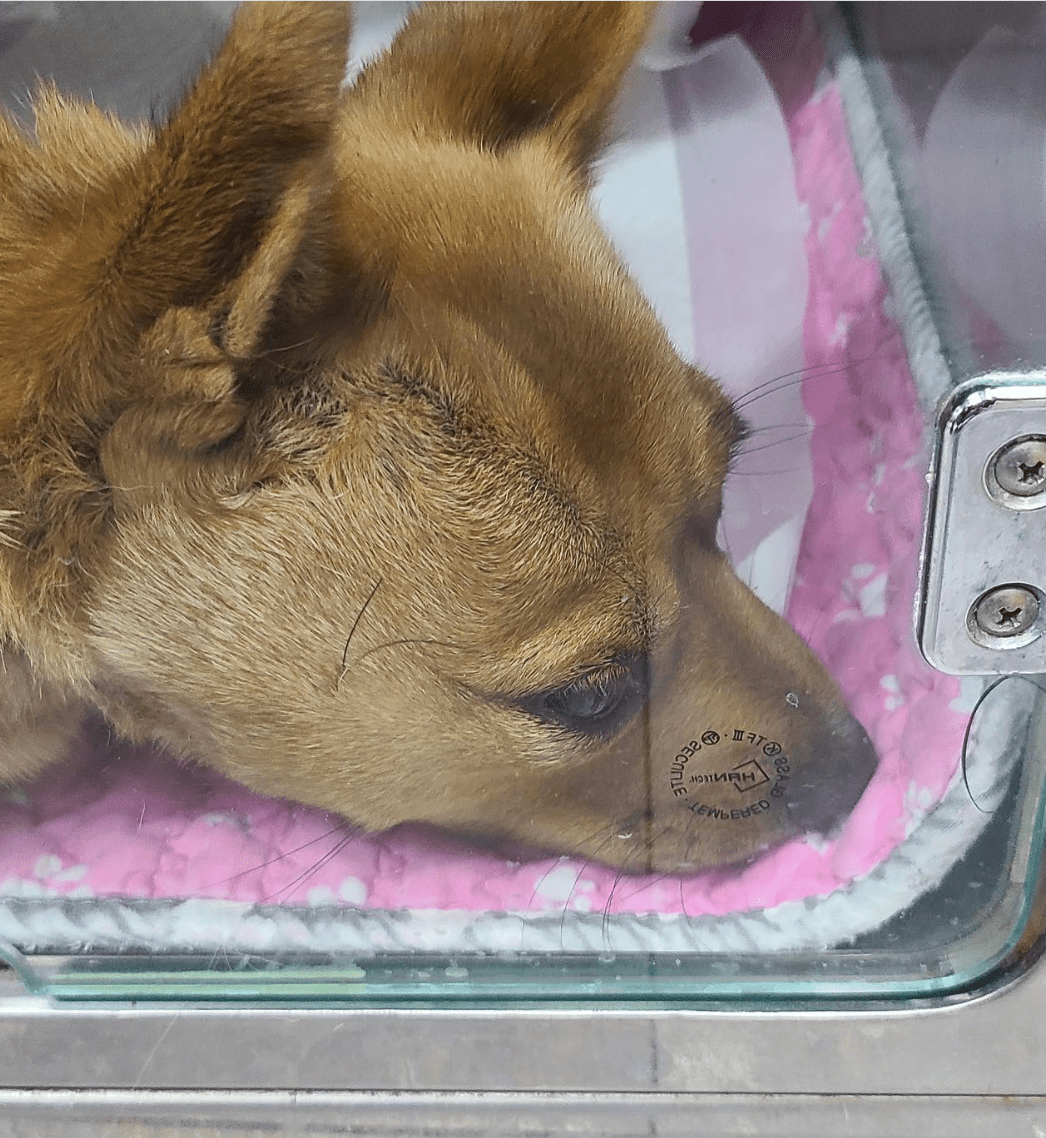 상세 사진 7