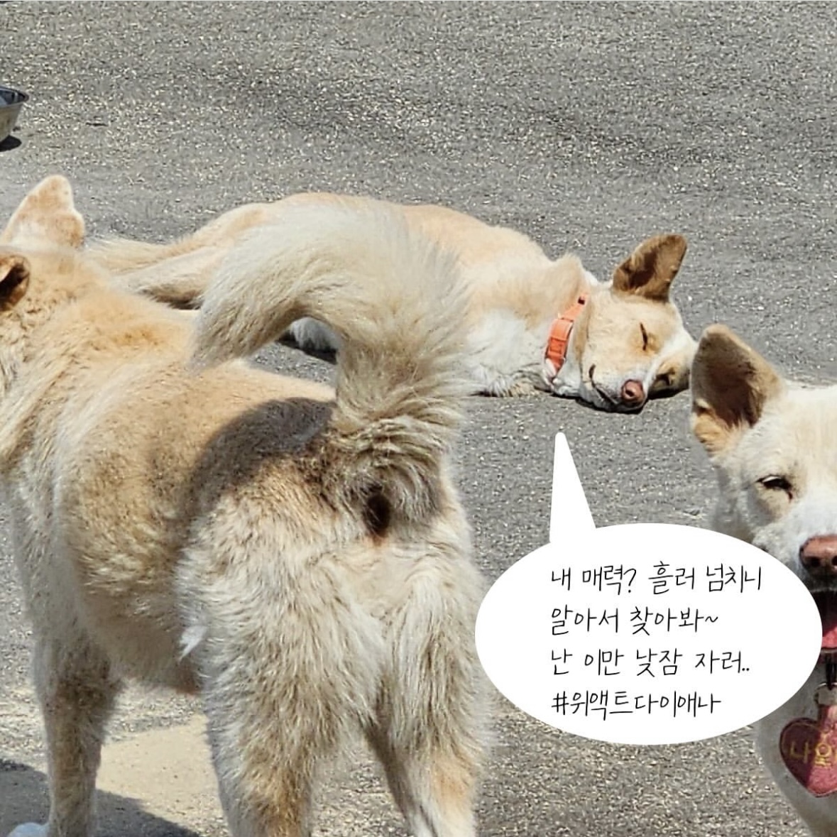 상세 사진 5