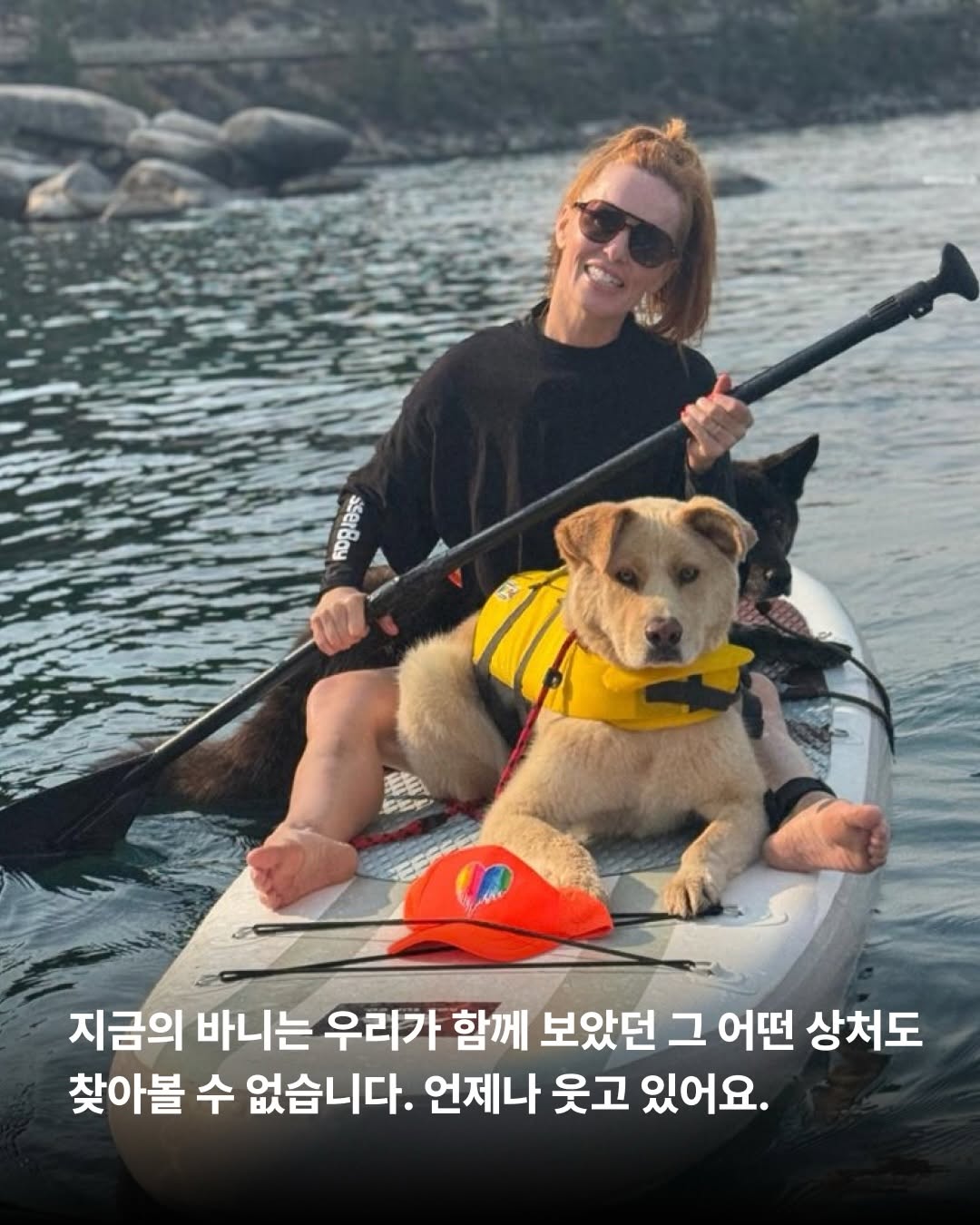 상세 사진 5
