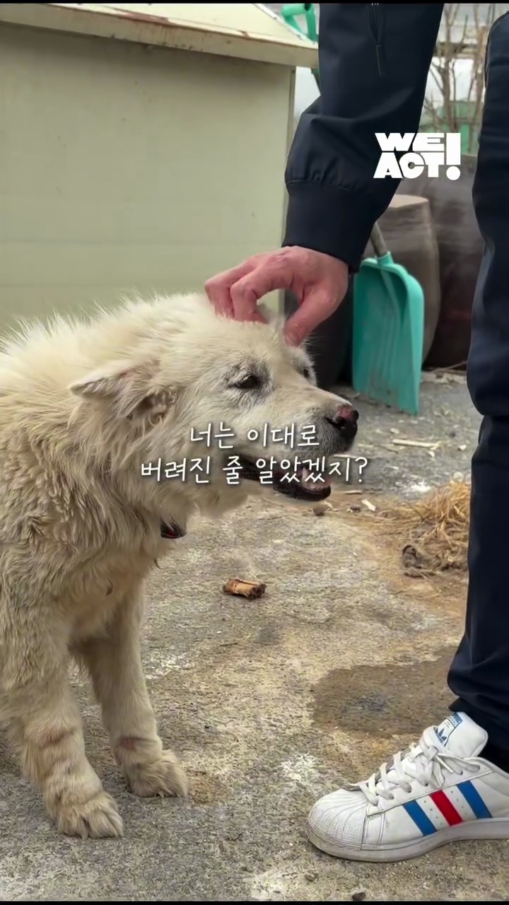 상세 사진 1