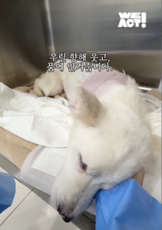 상세 사진 8