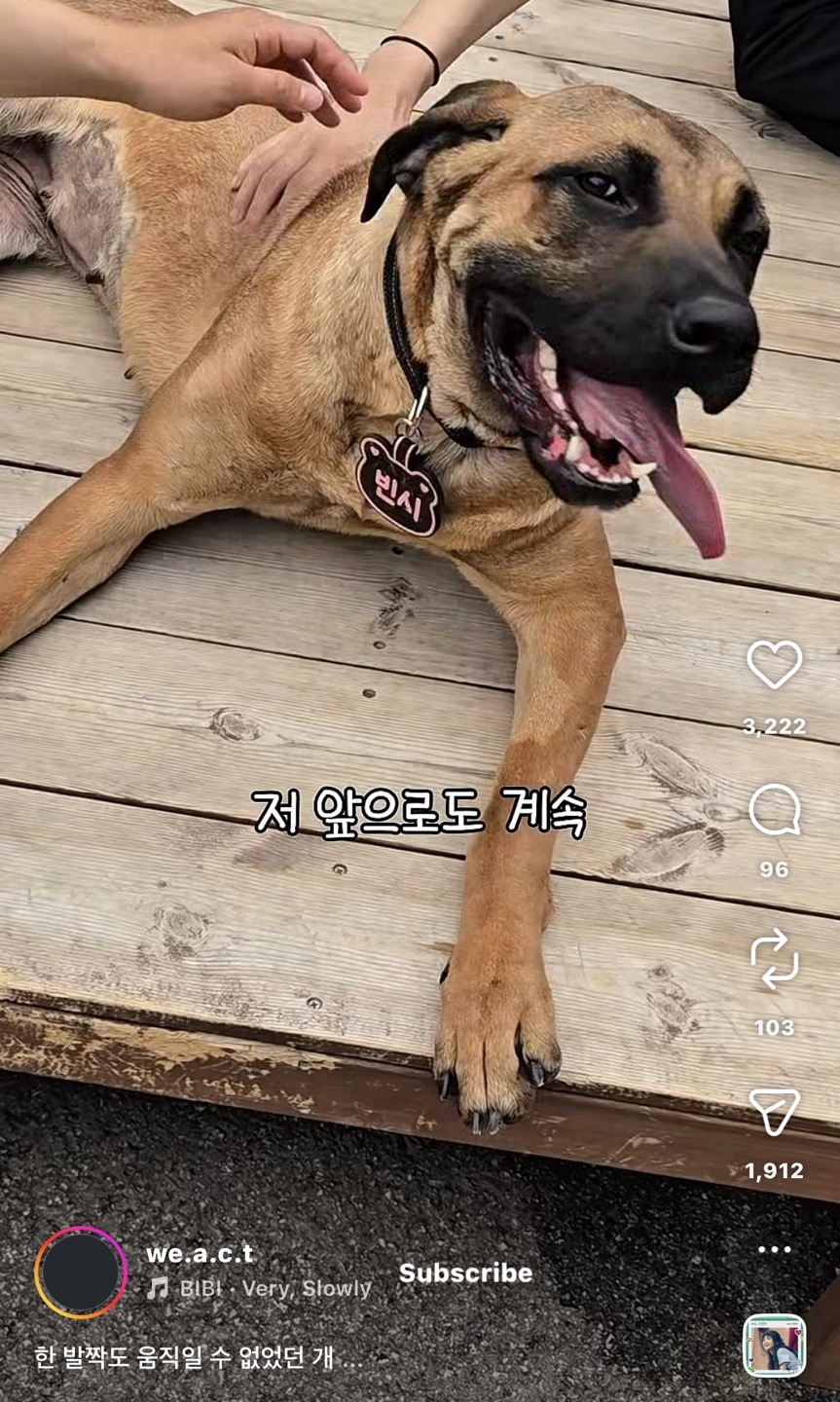 상세 사진 12