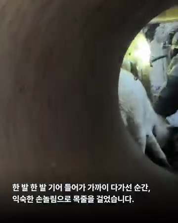 상세 사진 5