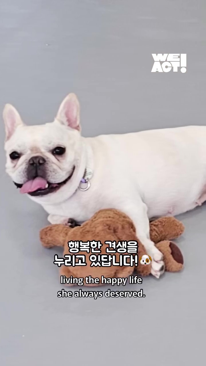 상세 사진 11