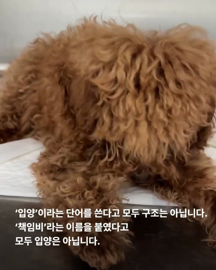 상세 사진 16