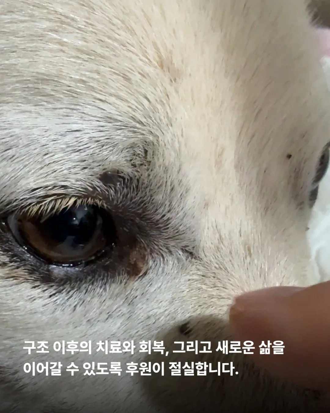 상세 사진 14
