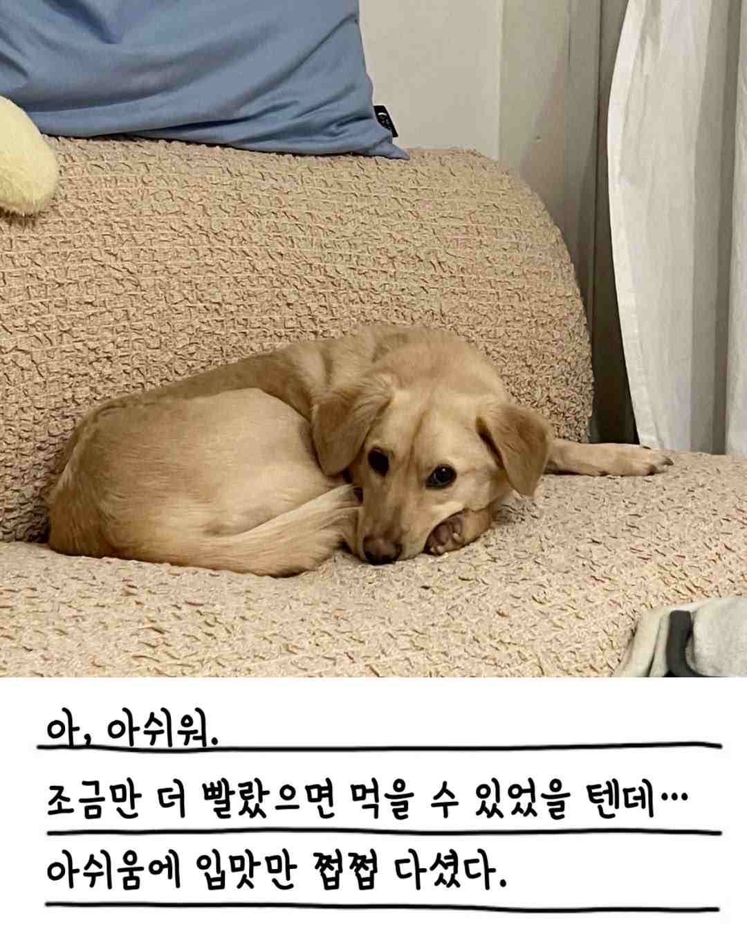 상세 사진 7