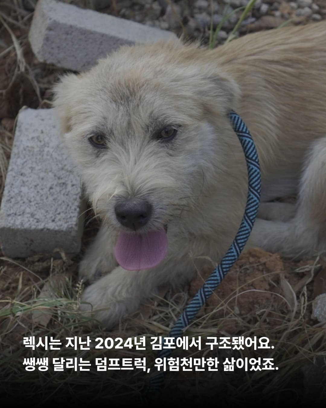 상세 사진 2