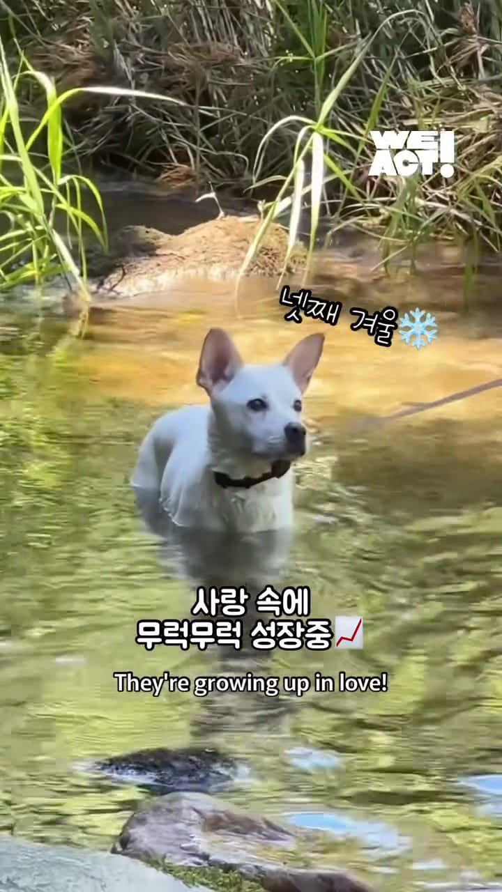상세 사진 16