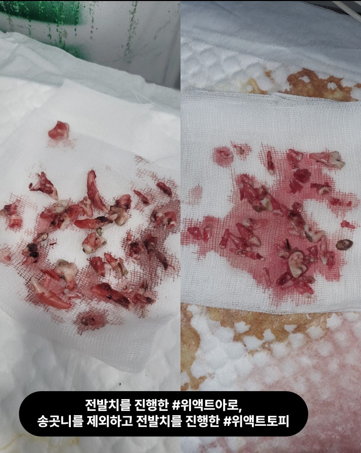 상세 사진 9