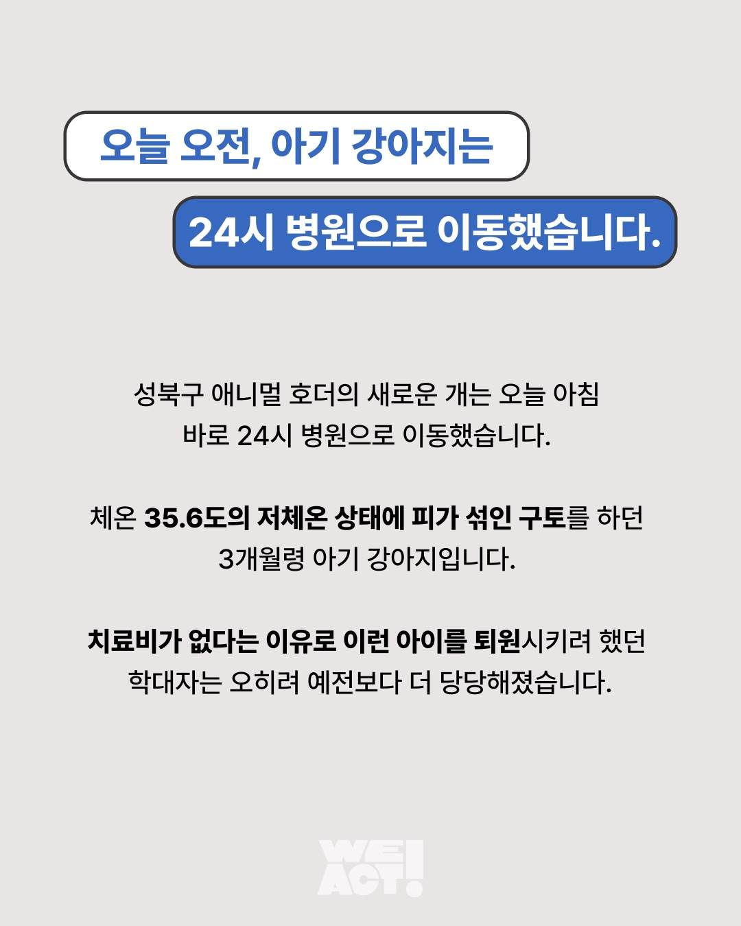상세 사진 2