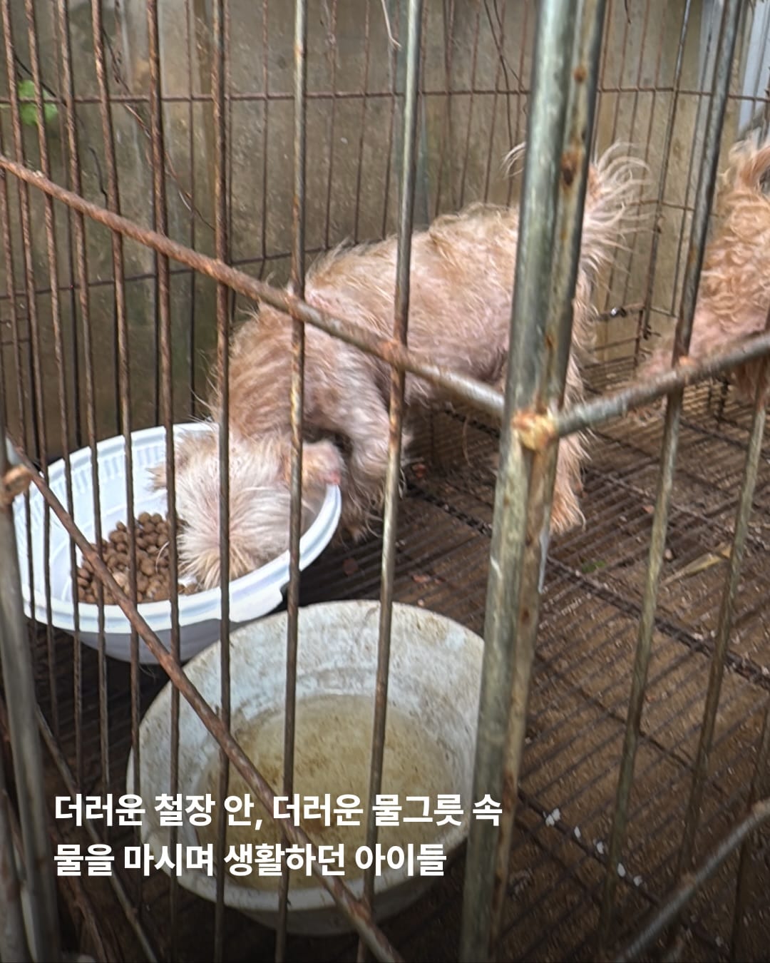 상세 사진 4