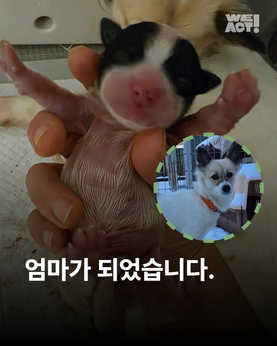 상세 사진 1