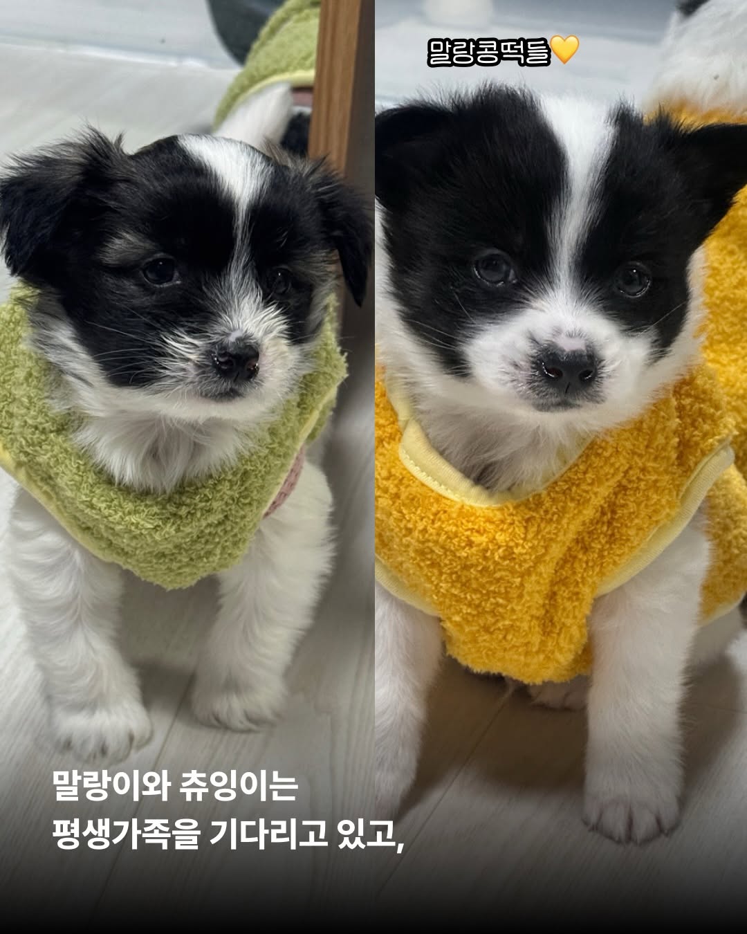 상세 사진 10