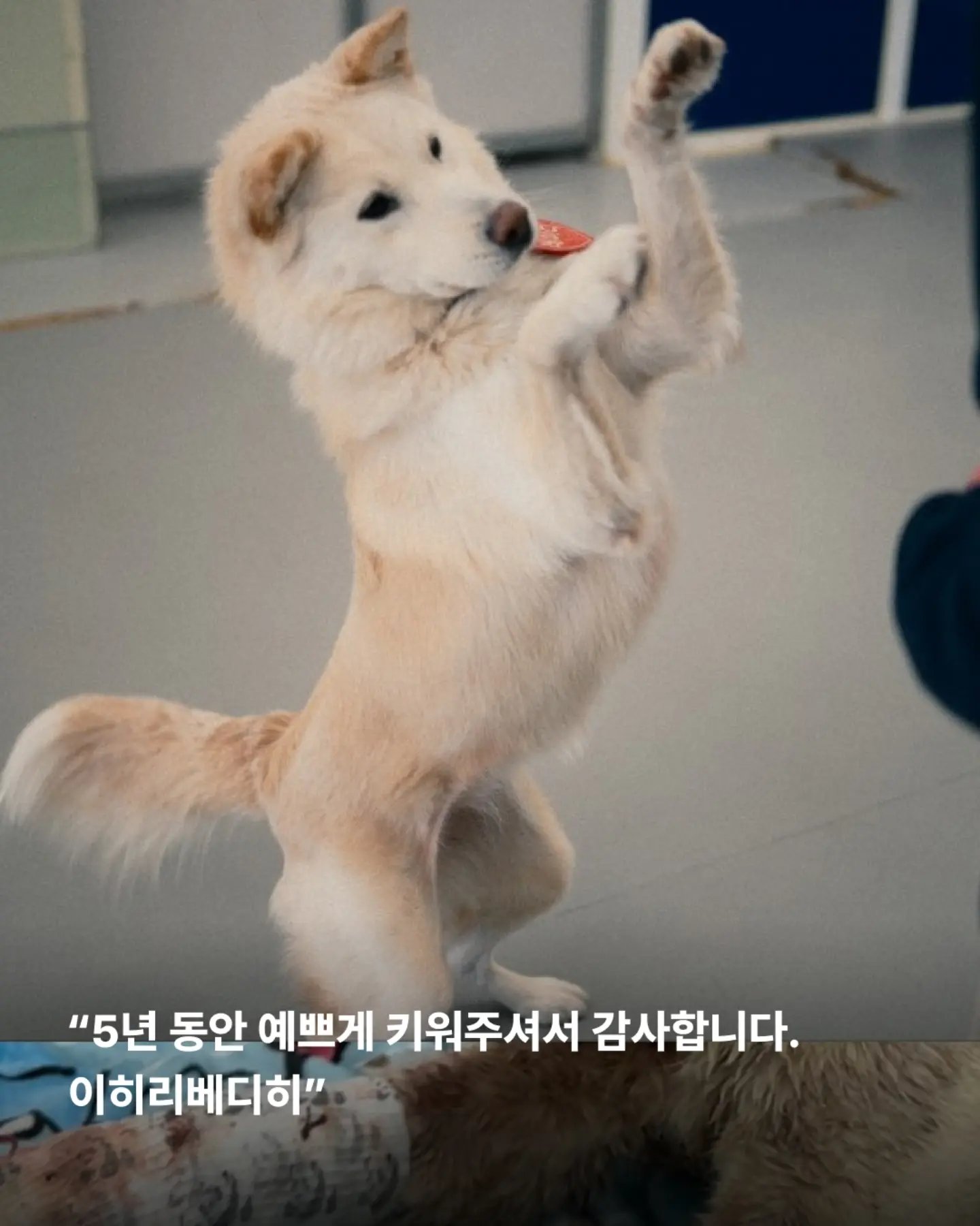 상세 사진 10