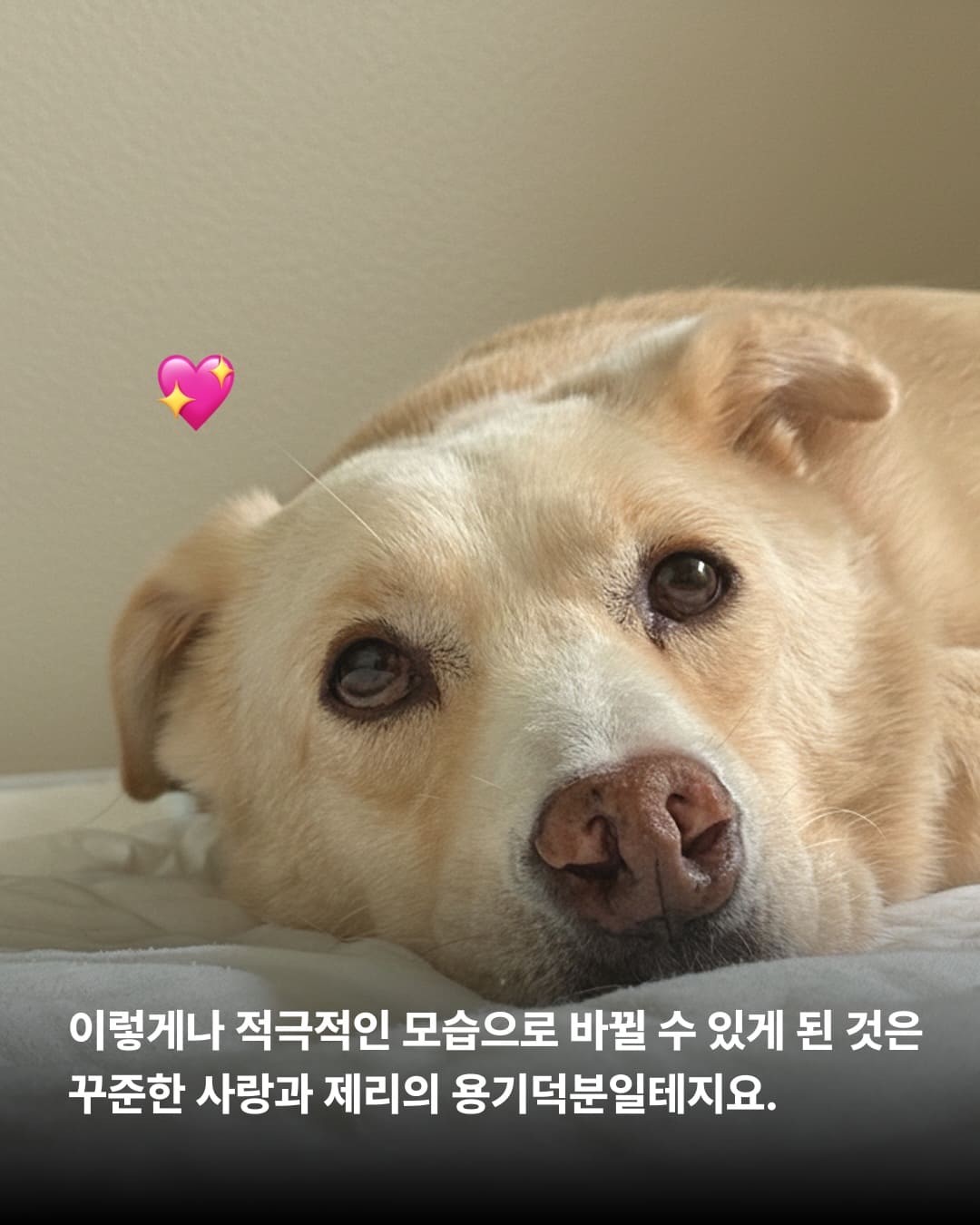 상세 사진 8