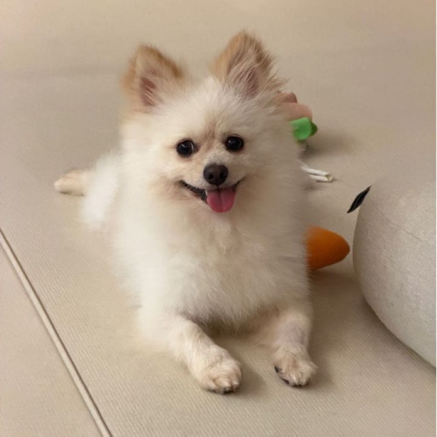 오름