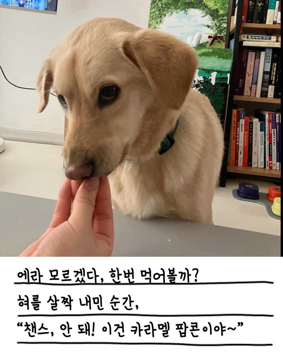 상세 사진 6