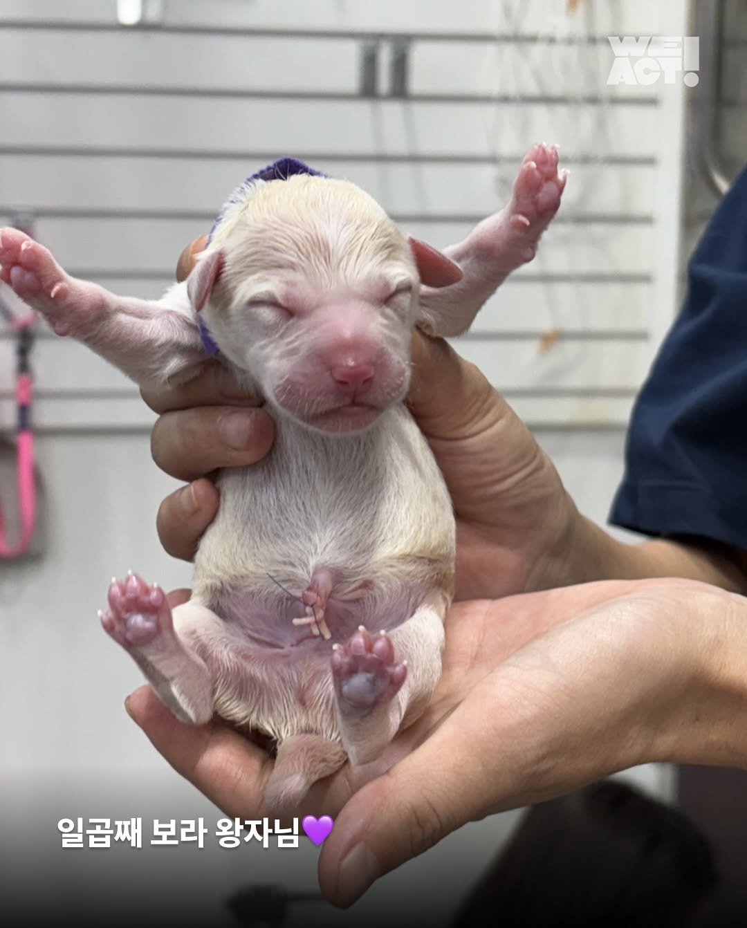 상세 사진 7