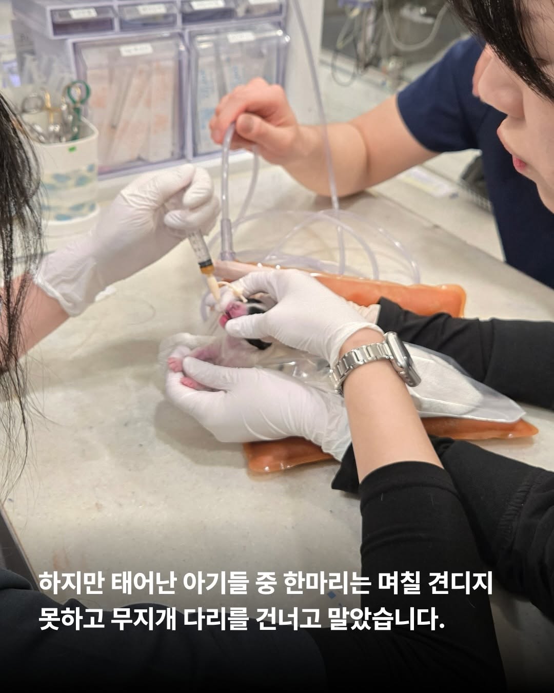 상세 사진 6