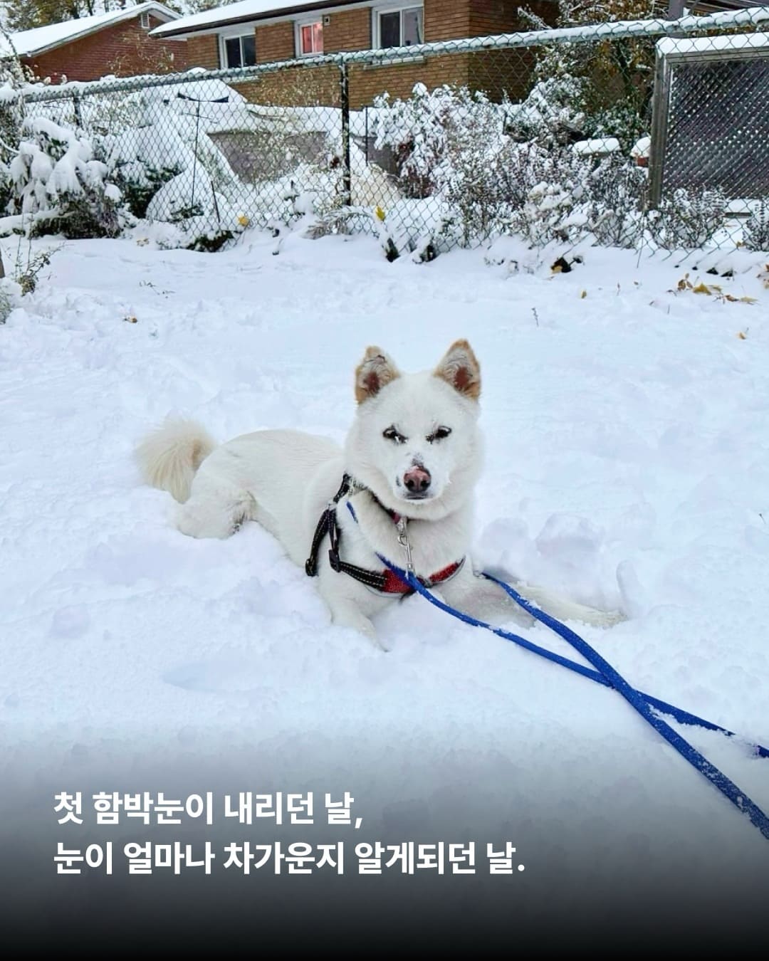 상세 사진 6
