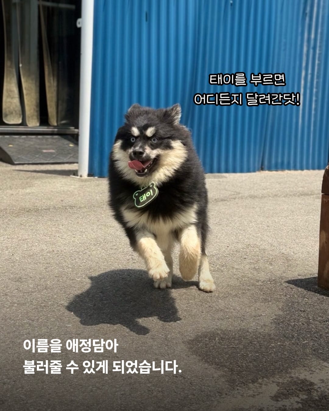 상세 사진 8