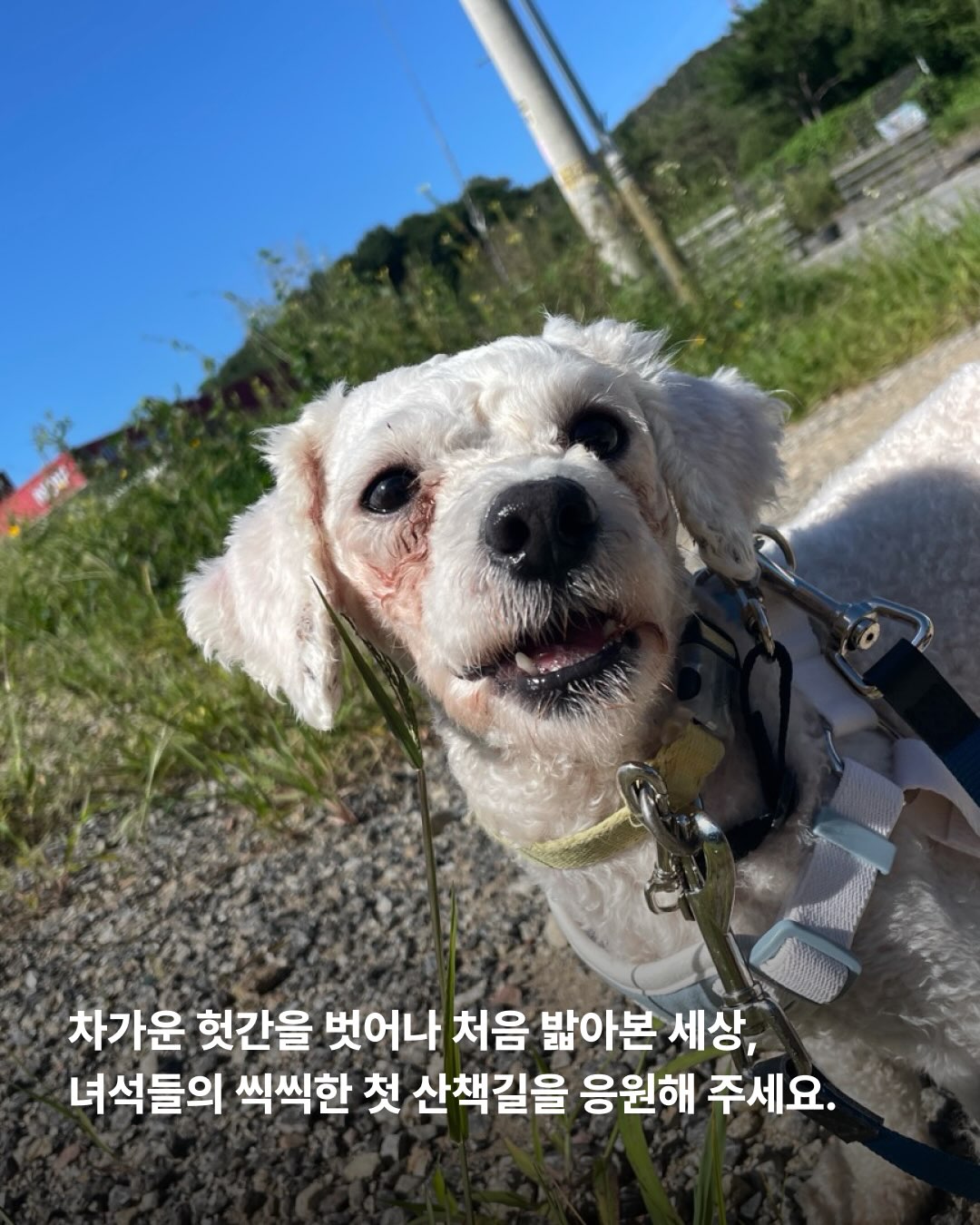 상세 사진 5