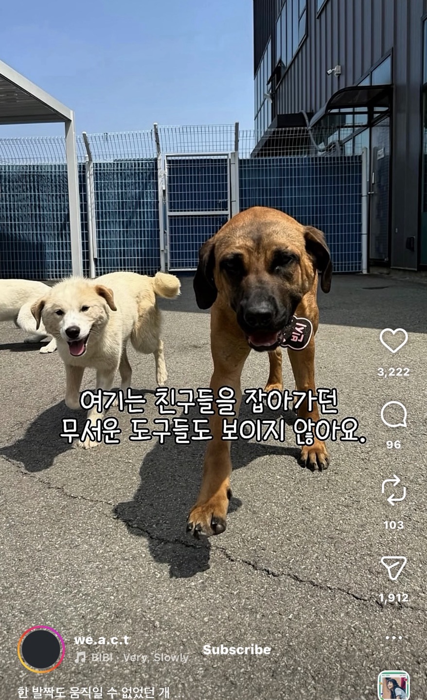 상세 사진 6