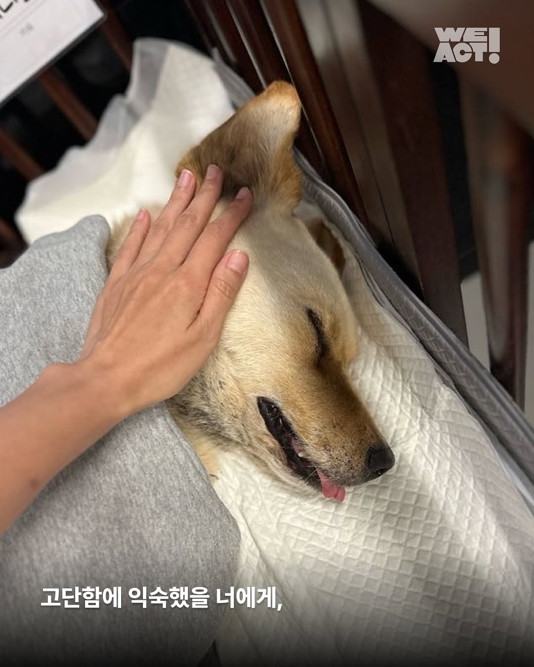 상세 사진 4