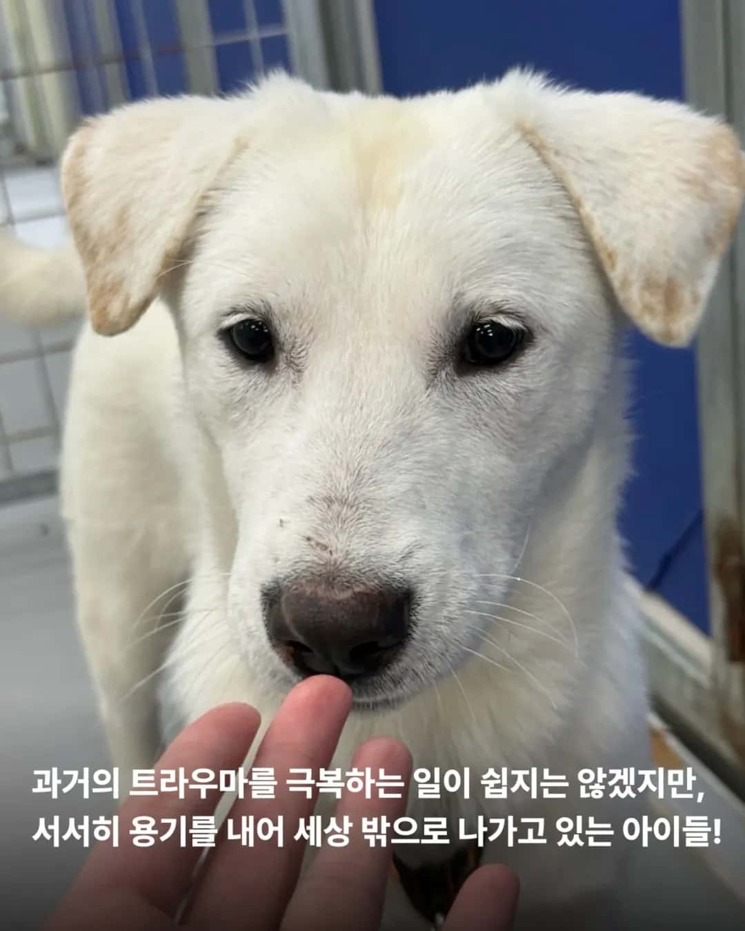상세 사진 16