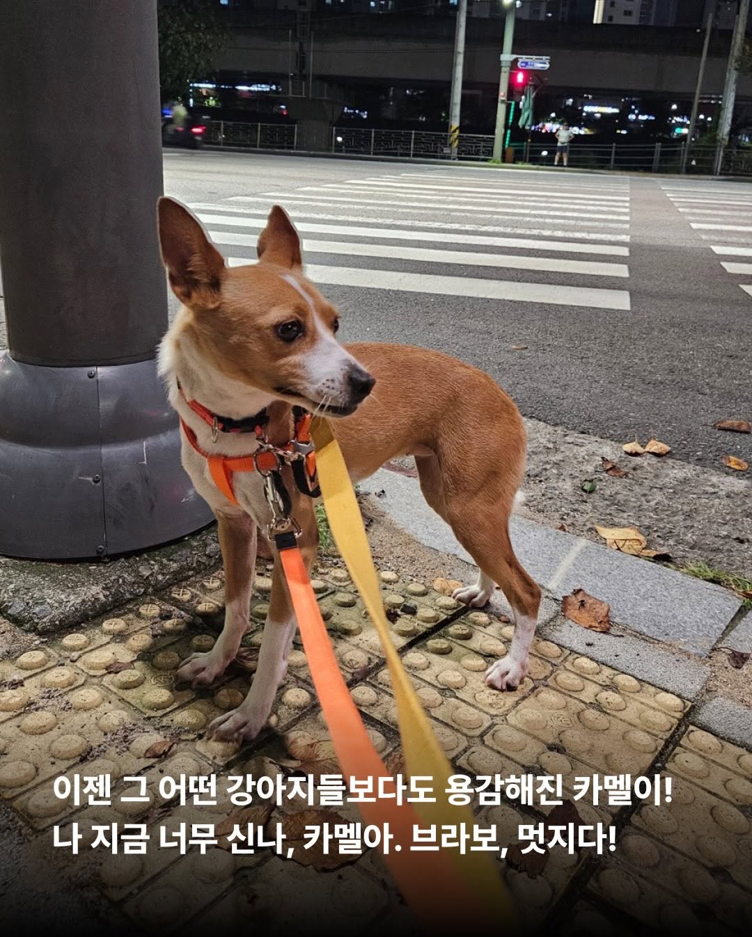 상세 사진 7