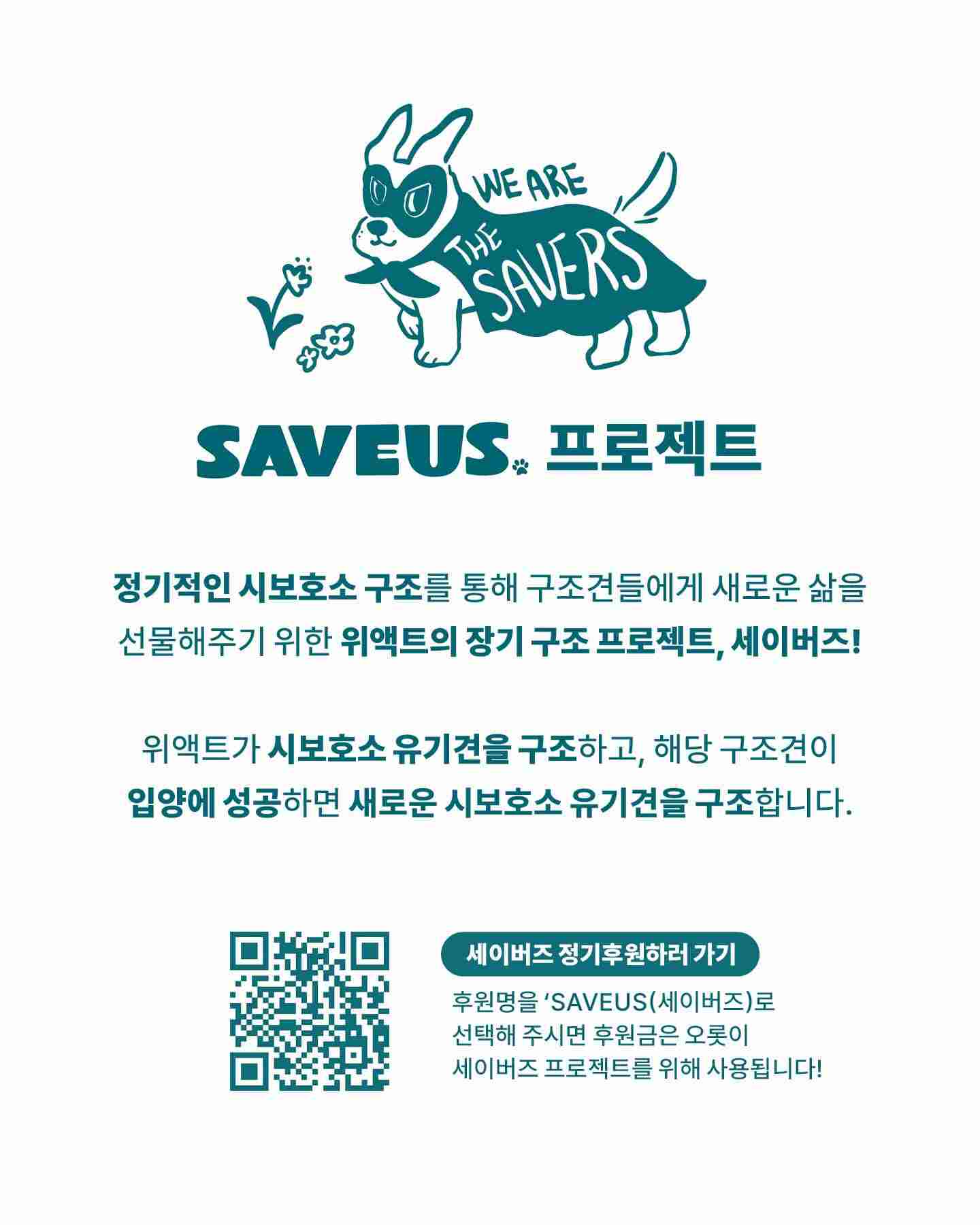 상세 사진 10