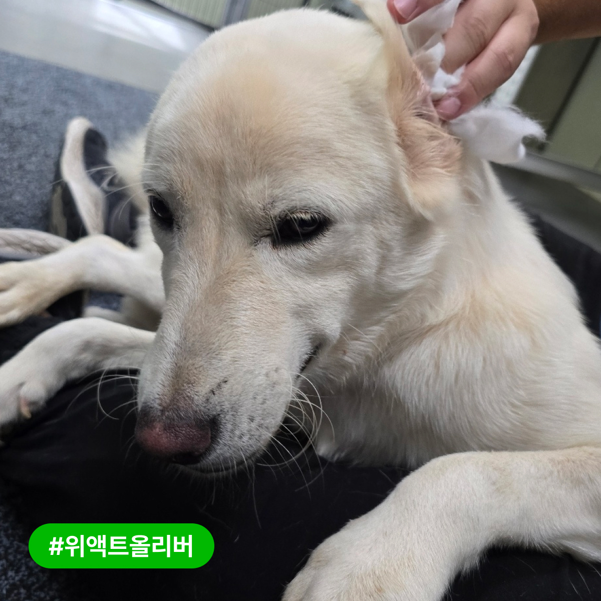 상세 사진 6