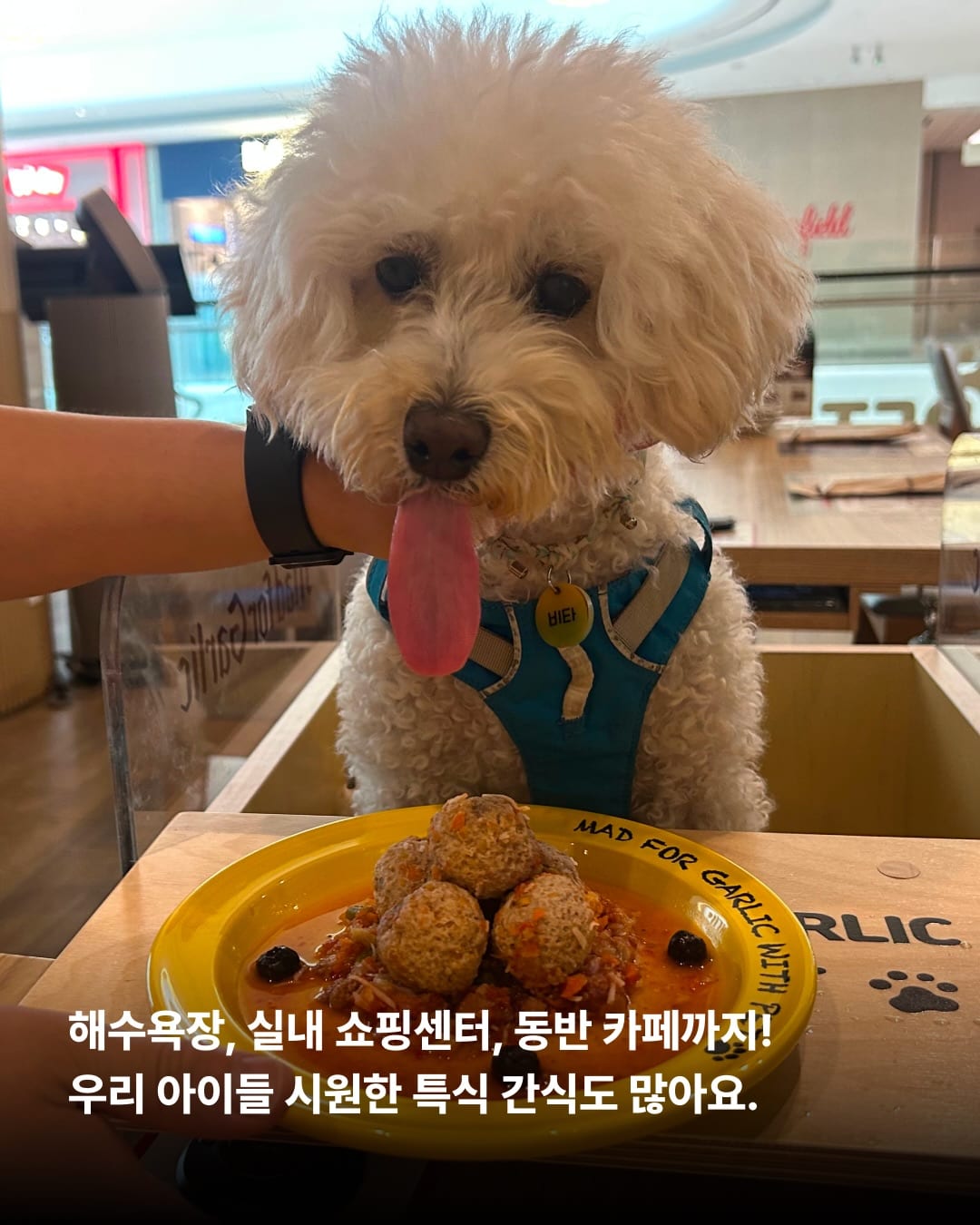 상세 사진 5
