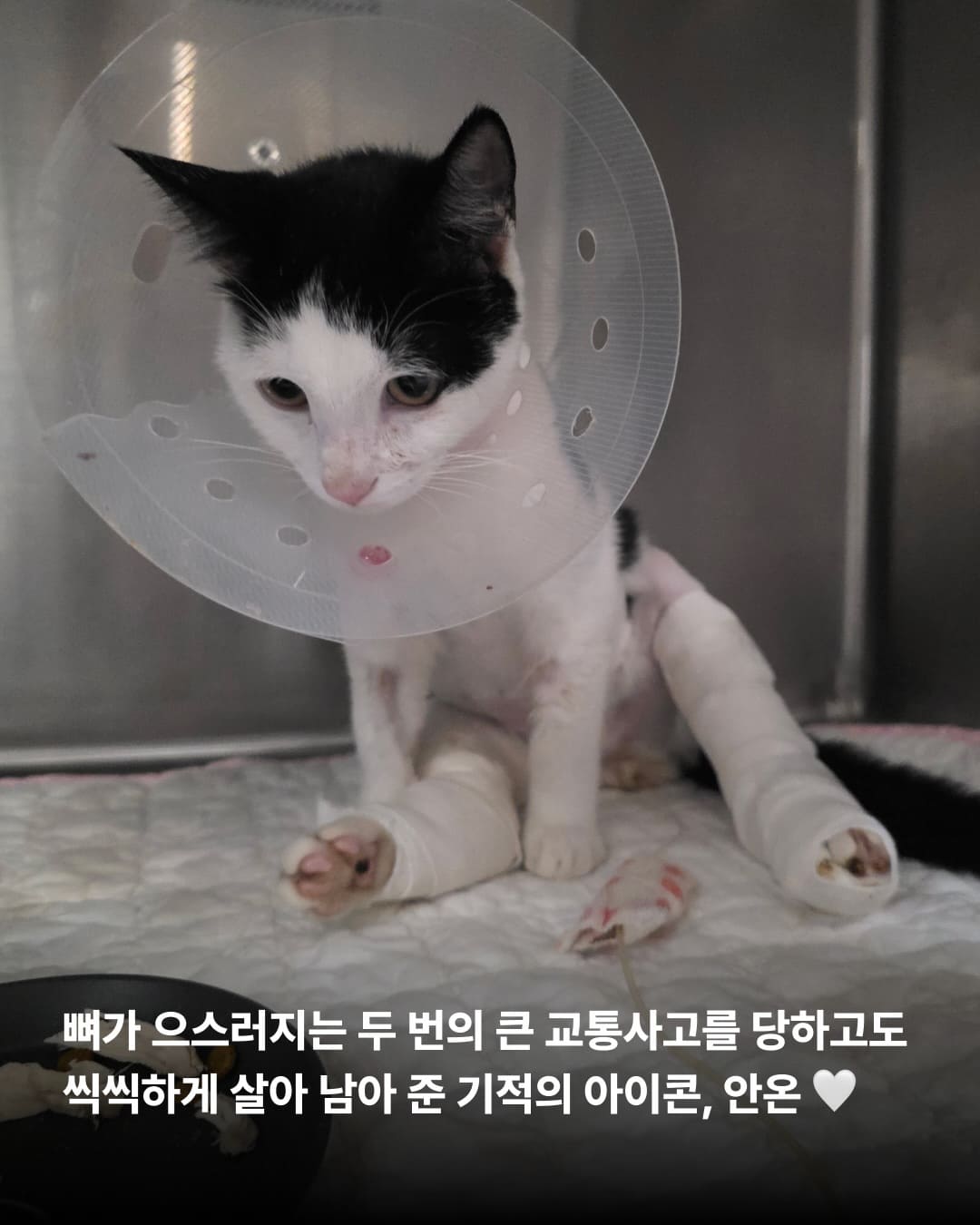 상세 사진 2
