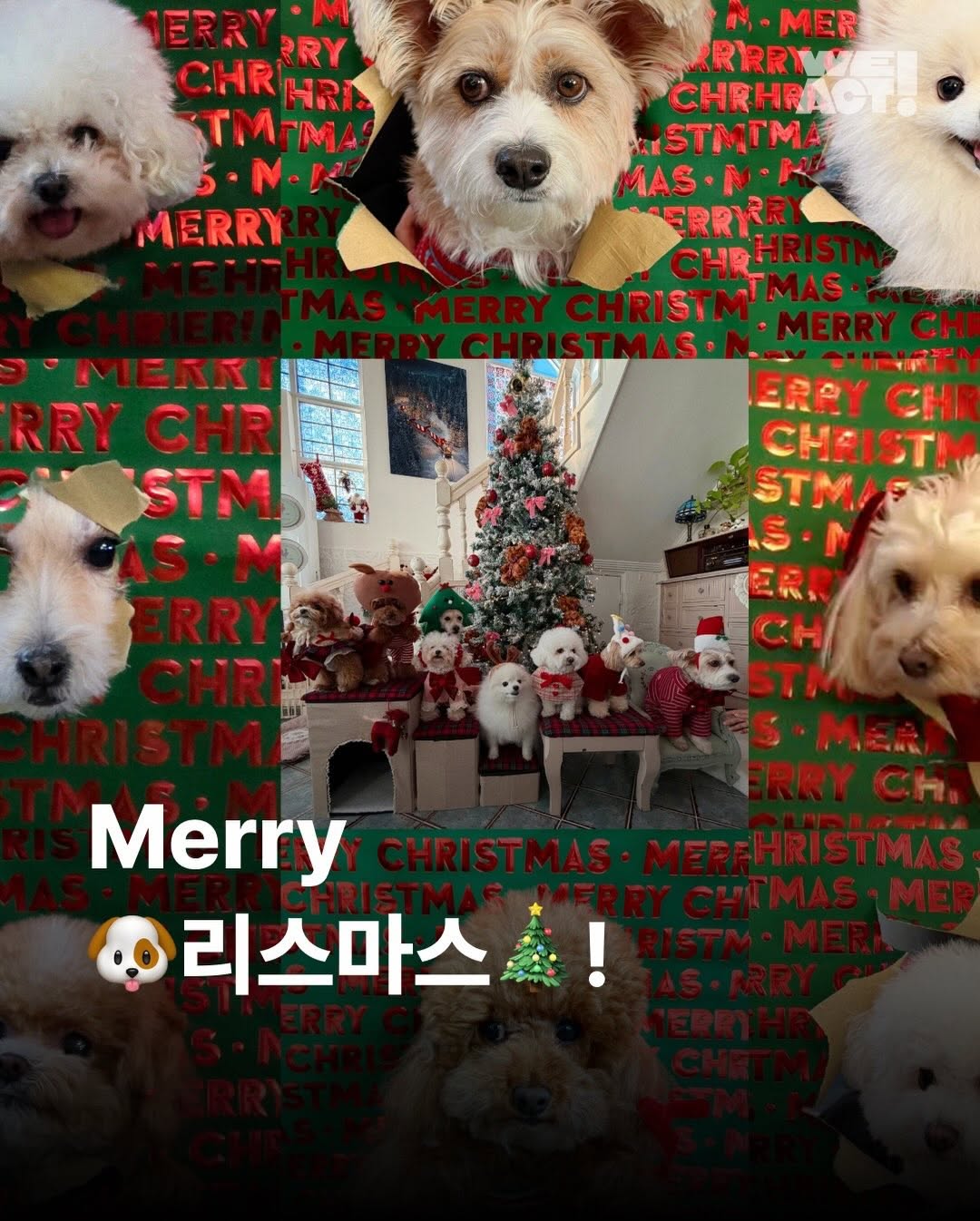 상세 사진 1