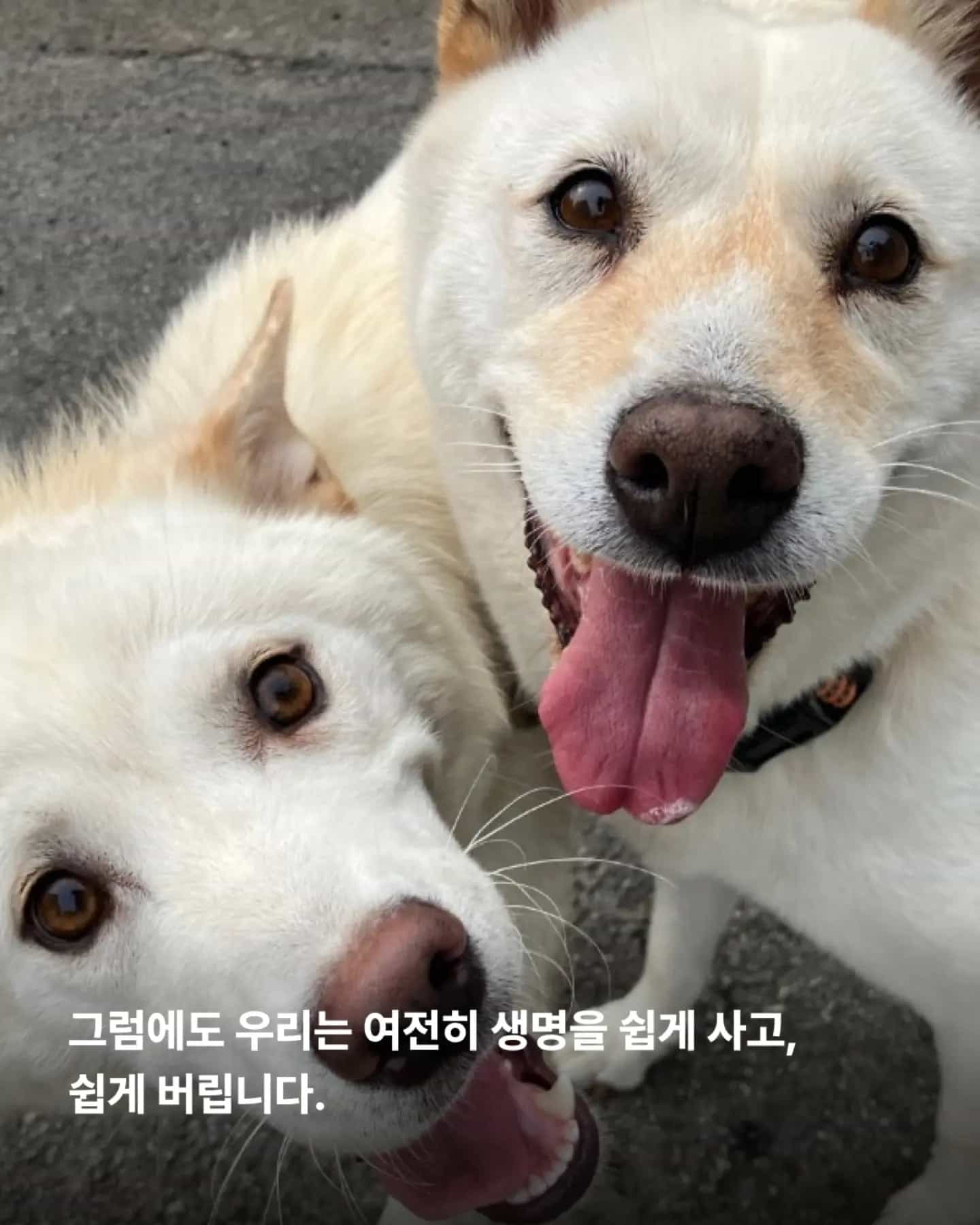 상세 사진 6