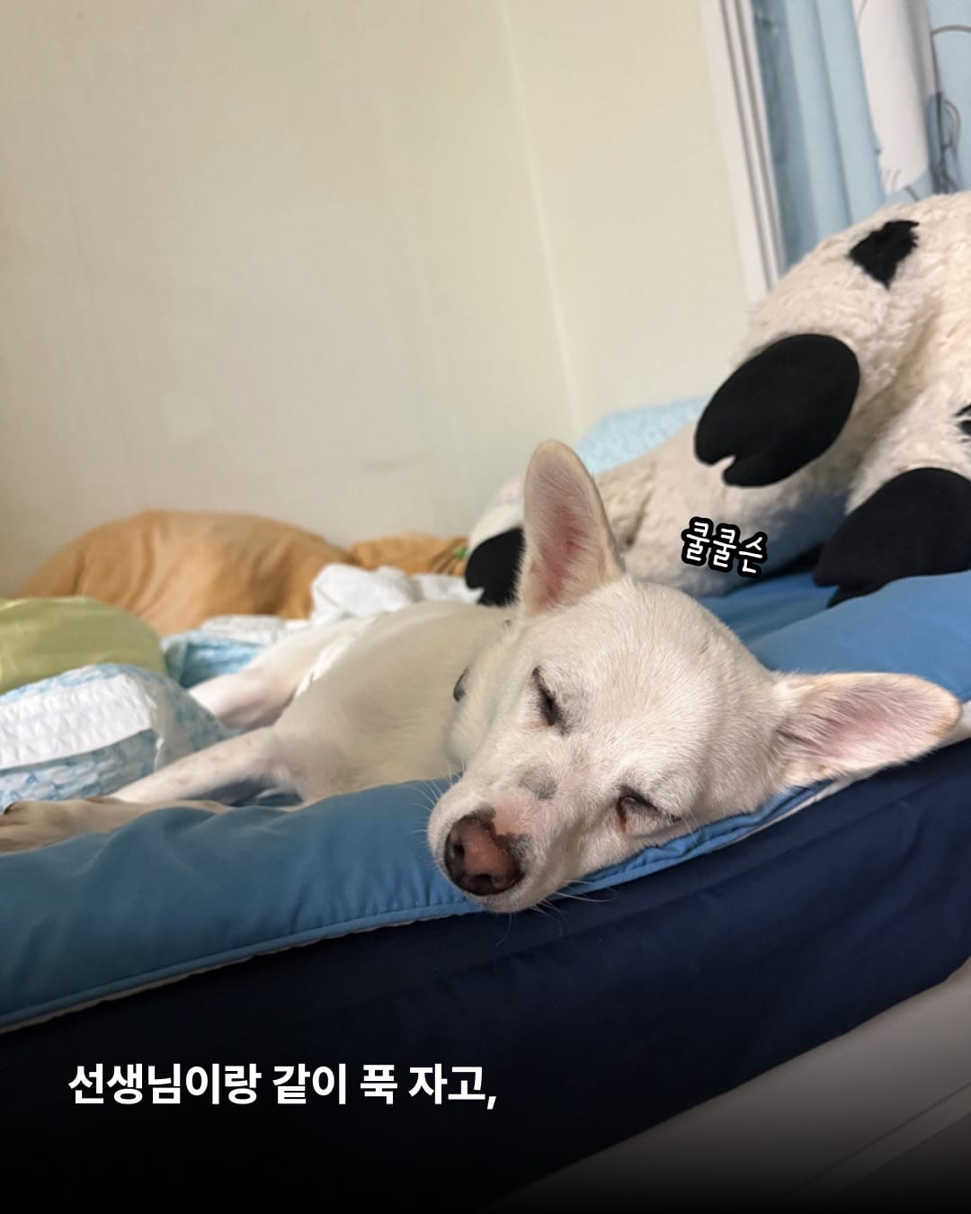 상세 사진 7