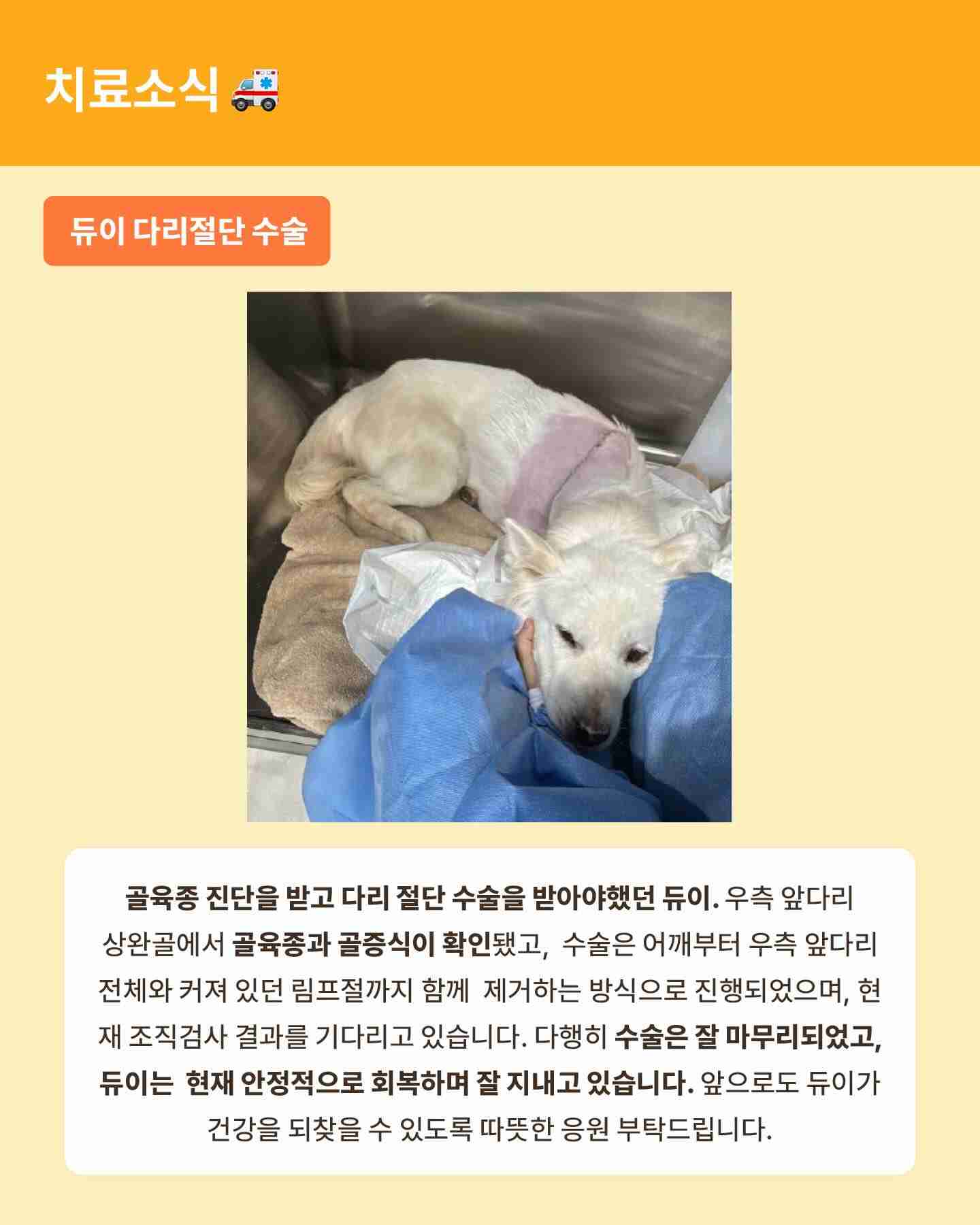 상세 사진 8