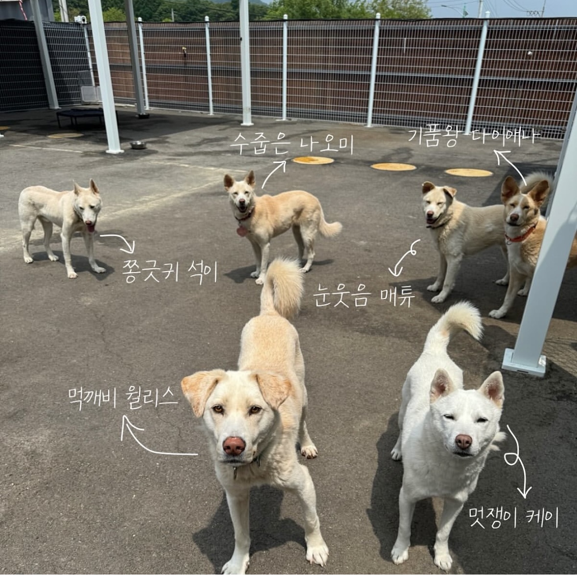 상세 사진 7