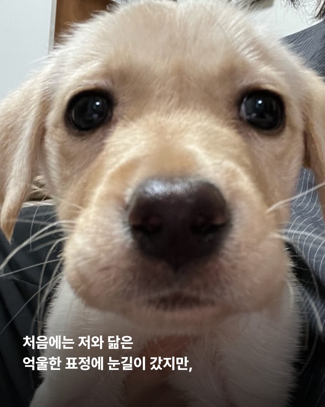상세 사진 7