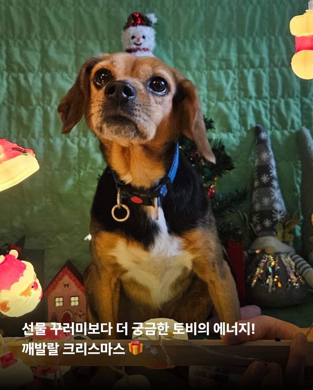 상세 사진 11