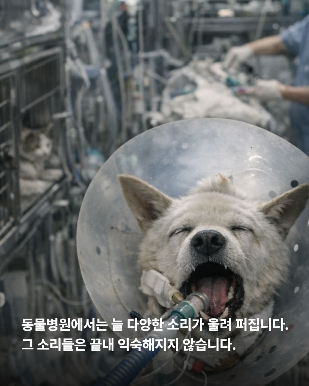 상세 사진 2